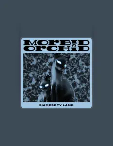 Morbid Orchid: песни, клипы, биография, даты выступлений и многое другое.