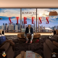 Stress - Single - Kalico