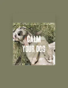 聆聽 Pet Music、觀看音樂影片、閱讀小傳、查看巡演日期等！