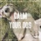 Sleepy Dog - Pet Music lyrics