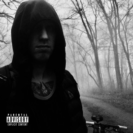 Stre$$ed (feat. Steve Gerard & Antiserum) c$l