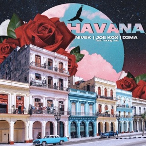 Havana (feat. Young Jae) - Single