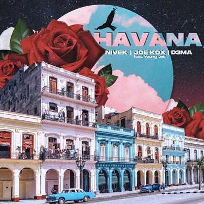 Havana (feat. Young Jae) - Single