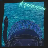 Aquamarine — Fine Life & Nugget