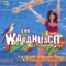 Cumbia Solitaria - Los Warahuaco lyrics