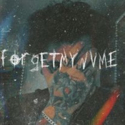 disaster (feat. gr!mey & VEX CHILD) - Single