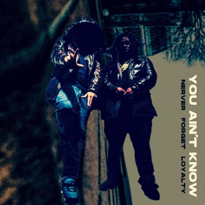 You Ain't Know - Single