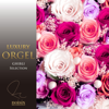Always with me (Spirited Away) - Luxury Orgel