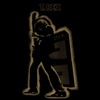 T. Rex: Bang A Gong (get It On)