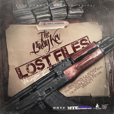 The Baby Kev Lost Files, Vol. 2