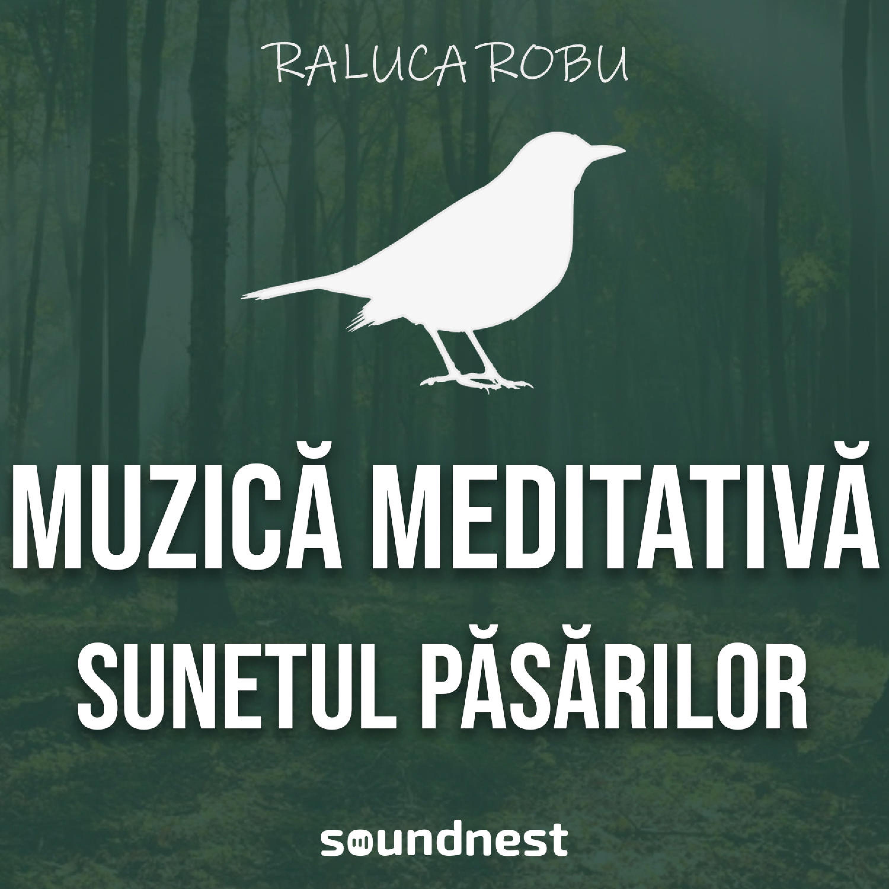 Sunetul Pasarilor, Muzica De Meditatie - Single