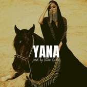 Yana (Instrumental) artwork