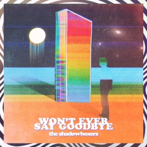 Won't Ever Say Goodbye - Single