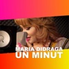 Un Minut - Single