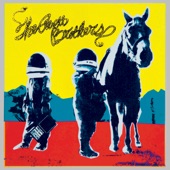 The Avett Brothers - True Sadness