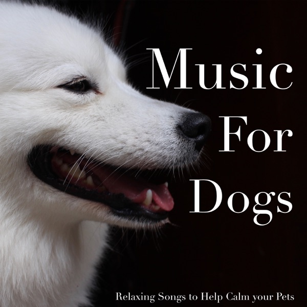 Music For Dogs - Relaxing Songs to Help Calm your Pets