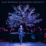 Rufus Wainwright & Amsterdam Sinfonietta - Argentina (Live)