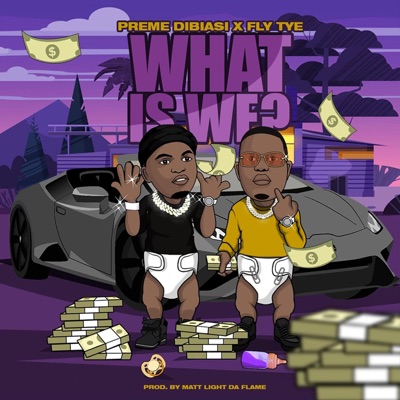 What Is We (feat. Fly Tye) [Radio Edit] [Radio Edit] - Single