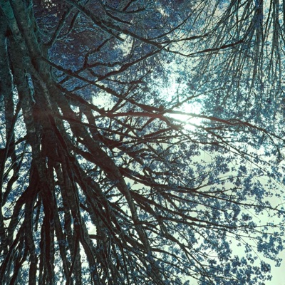 Party In the Woods - EP