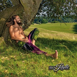 Alles rosig (feat. Kiste) BBou