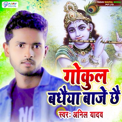 Song - Gokul Badhaiya Baje Chhe - Anil Yadav
