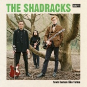 The Shadracks - Don't Let Go