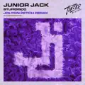 Stupidisco (Jolyon Petch Remix)