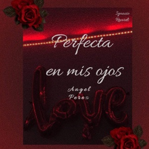 Perfecta En Mis Ojos - Single