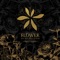F. L. P - XIA lyrics