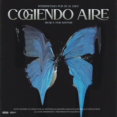 Cogiendo aire artwork