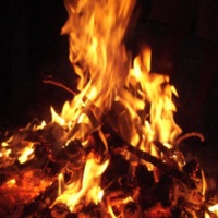 Dragon Tales, Pt. 1 - Single - King Draino