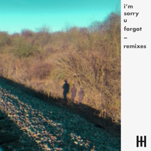 I'm Sorry U Forgot Remixes - Single