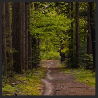 A Stroll Through My Mind - Single - Sander