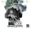 Pull Up On Ya (feat. T-Locc & Mac Hard) - Bull Locc lyrics