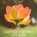  - Mein schönste Zier