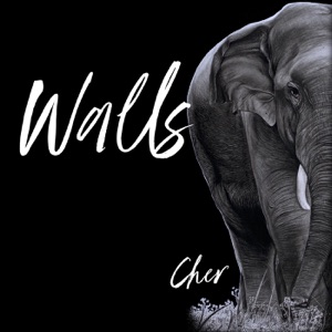 Cher - Walls - Line Dance Musique