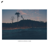 Mare cover