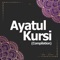 Ayatul Kursi (Qari Ziyaad Patel) - The Holy Quran lyrics