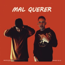 Mal Querer Skinny B.I.G & Receiver
