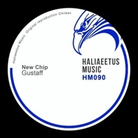 New Chip - EP - GUSTAFF