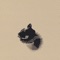 Animism (feat. Theleastimportant) - sergiodeartist lyrics