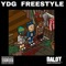 Ydg Freestyle artwork