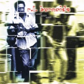 R.L. Burnside - Boogie Chillen'