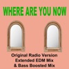 Where Are You Now (Original Radio Version, Extended EDM Mix & Bas Boosted Mix) - Single, 2021