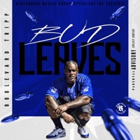 Like Bud Leaves - Single - Boulevard Tripp