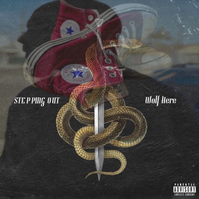 Steppin Out - Single