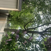 Rue (feat. Ankh) - Single - xona