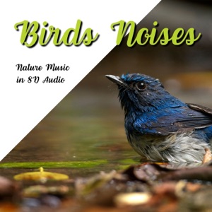 Birds Noises, Nature Music in 8D Audio