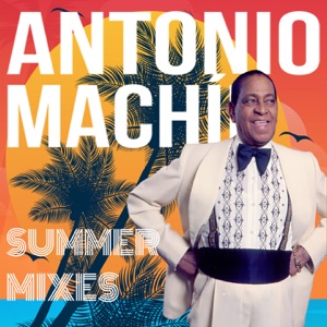 Summer Mixes - Single