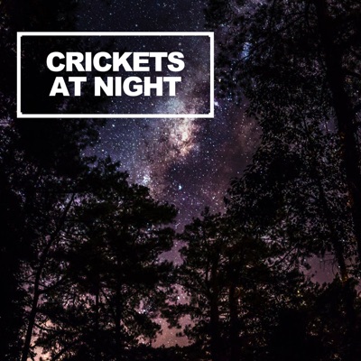 Crickets At Night - Single